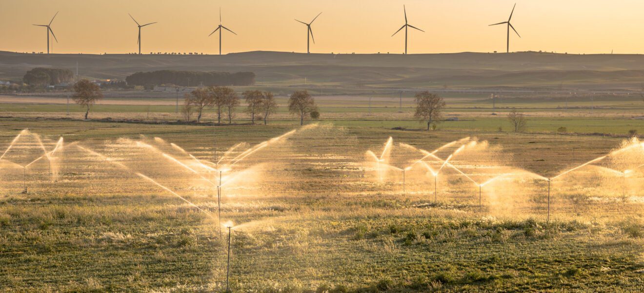 Brandenburg plant Klimaabschlag für Grundwasser