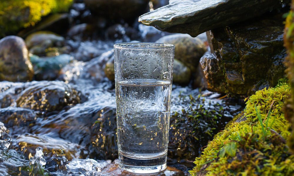 Glas mit Trinkwasser steht vor einer natürlichen Quelle