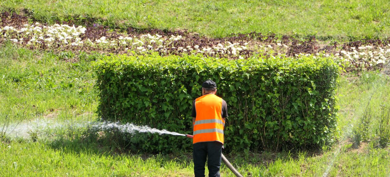 Ein Mann in Warnweste bewässert eine Grünfläche mit Wasserschlauch