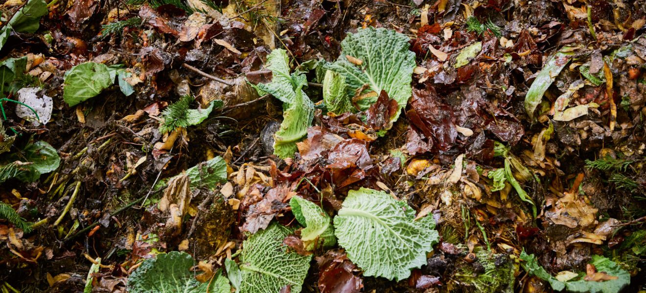 Bioabfall aus braunen Blätter, Kohl und weiterem Grünschnitt