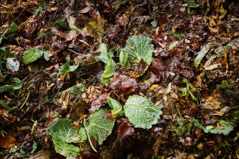 Bioabfall aus braunen Blätter, Kohl und weiterem Grünschnitt