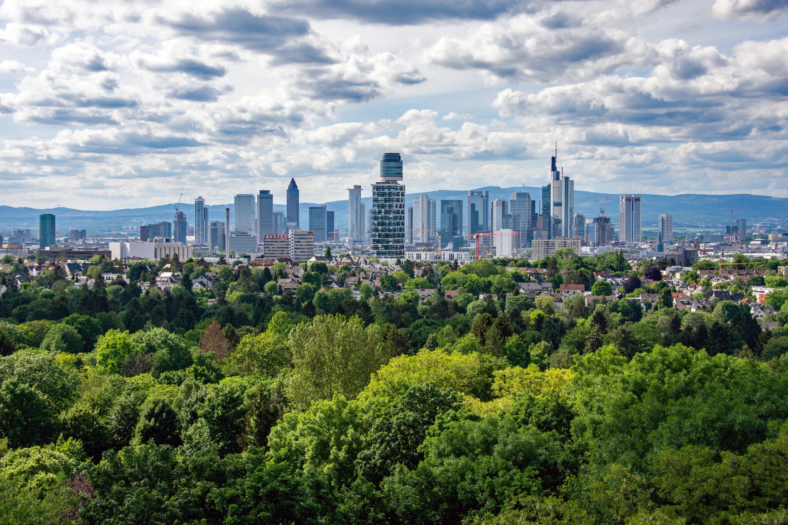 Skyline von Frankfurt am Main mit vielen gesunden Bäumen im Vordergrund