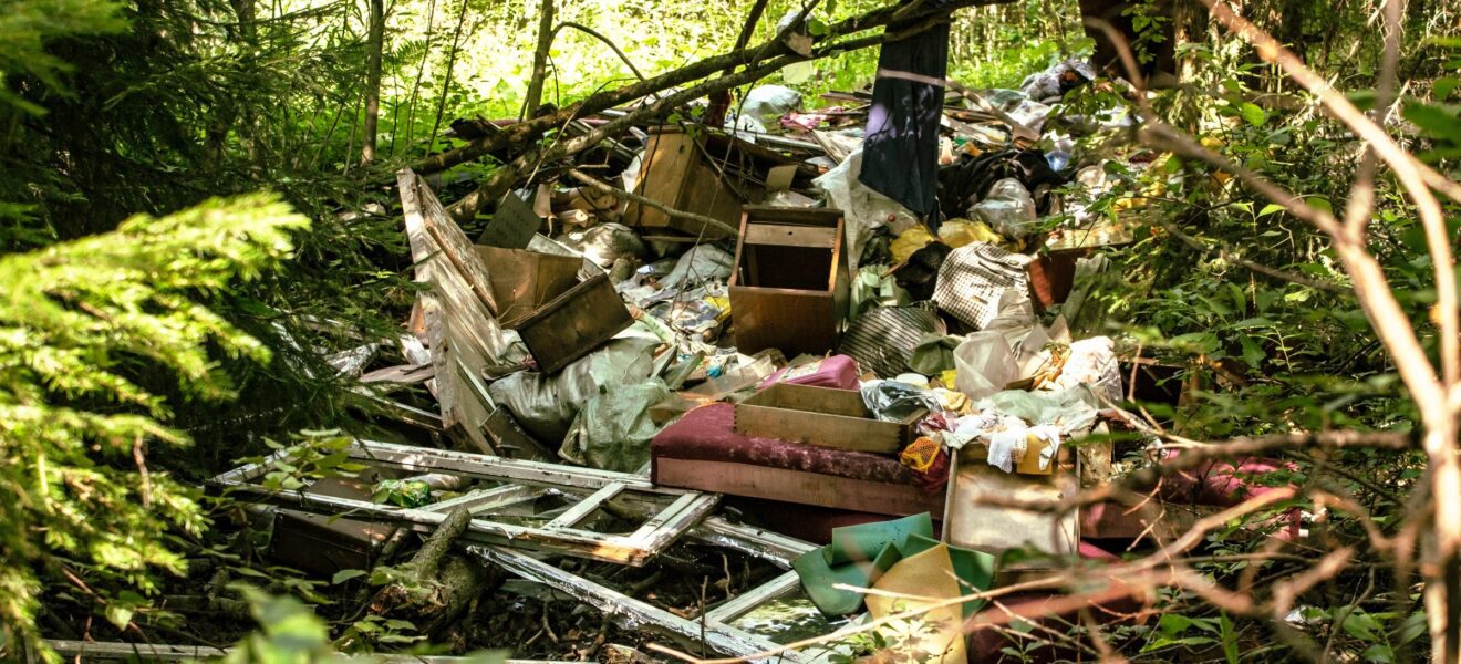 illegale Müllentsorgung im Wald