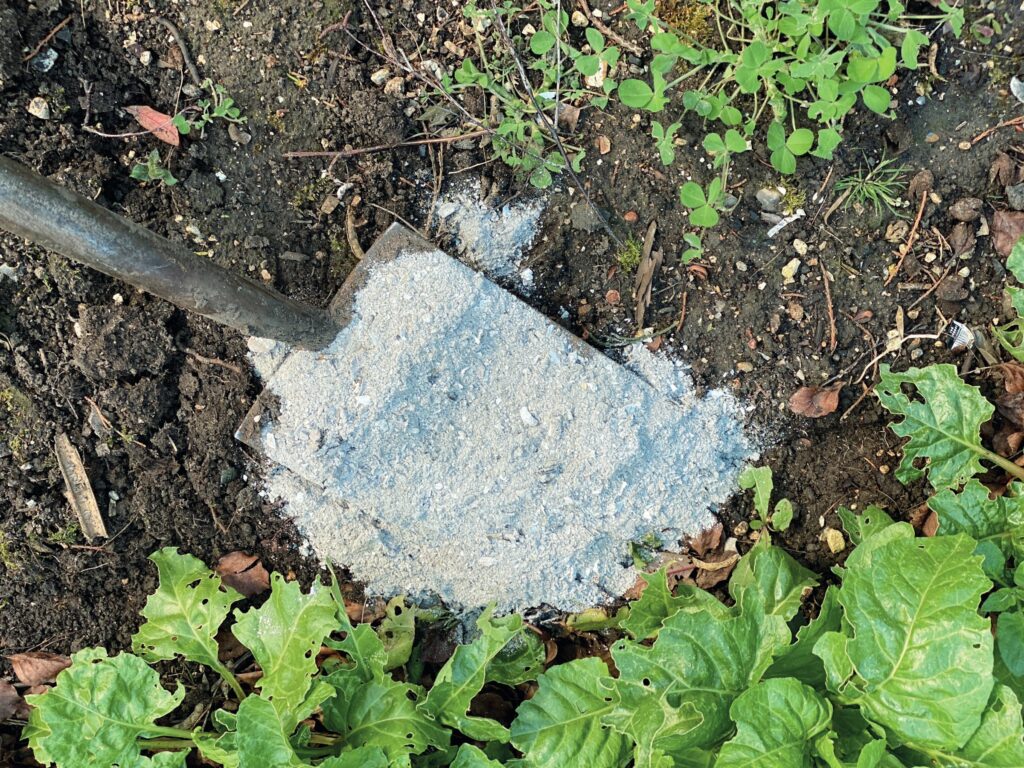 Asche Warum Asche nicht auf den Kompost darf