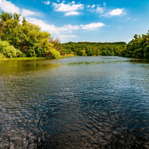 Umwelt eines natürliches Flusslaufs