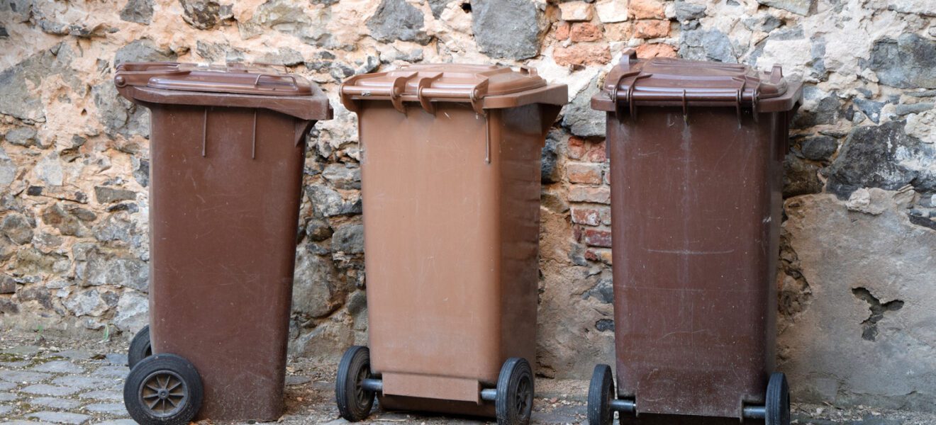 Strengere Kontrollen Biotonnen