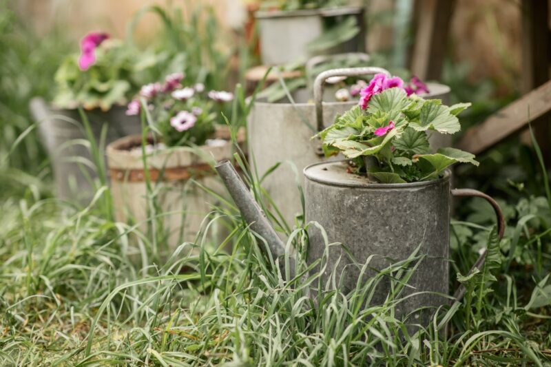 Gießkanne Upcyceln im Garten