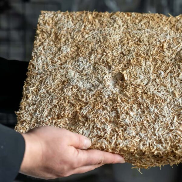 Mycobuild - Ein Beispiel für Fassadendämmung auf der Basis von Pilzgeflecht