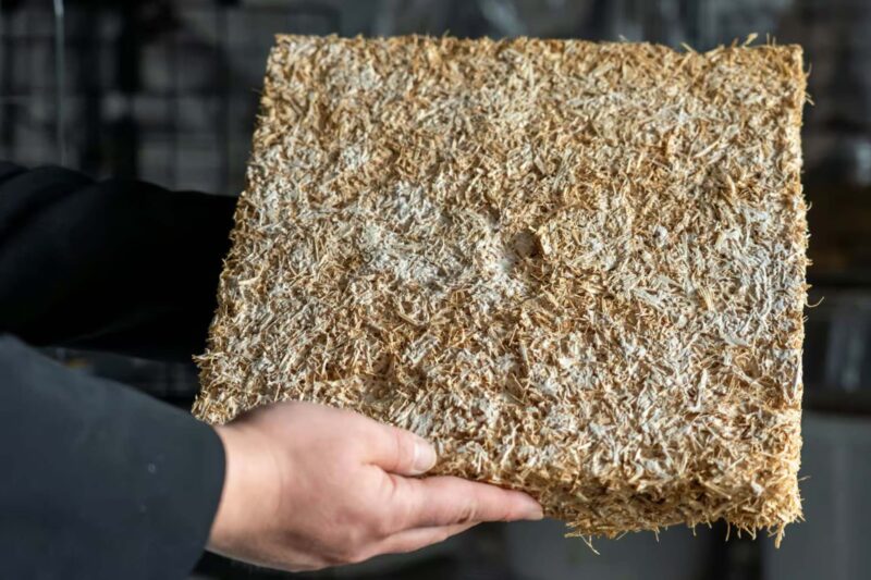 Mycobuild - Ein Beispiel für Fassadendämmung auf der Basis von Pilzgeflecht