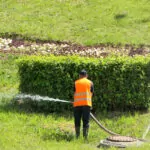 Ein Mann in Warnweste bewässert eine Grünfläche mit Wasserschlauch