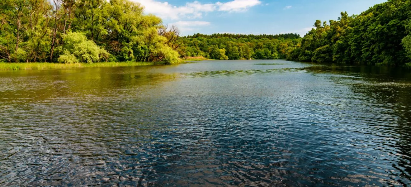 Umwelt eines natürliches Flusslaufs