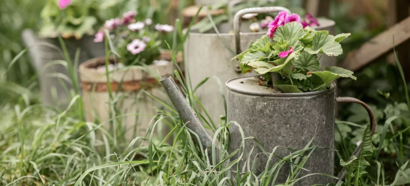 Gießkanne Upcyceln im Garten
