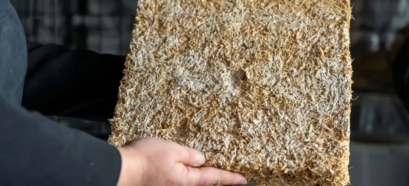 Mycobuild - Ein Beispiel für Fassadendämmung auf der Basis von Pilzgeflecht