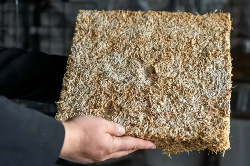 Mycobuild - Ein Beispiel für Fassadendämmung auf der Basis von Pilzgeflecht