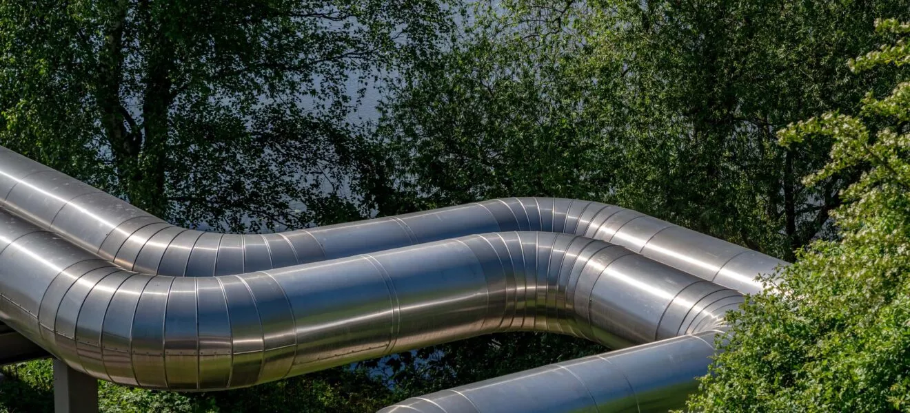 Ein großes, geschwungenes Rohr für die Fernwärme im Sonnenlicht vor einem grünen Baum.